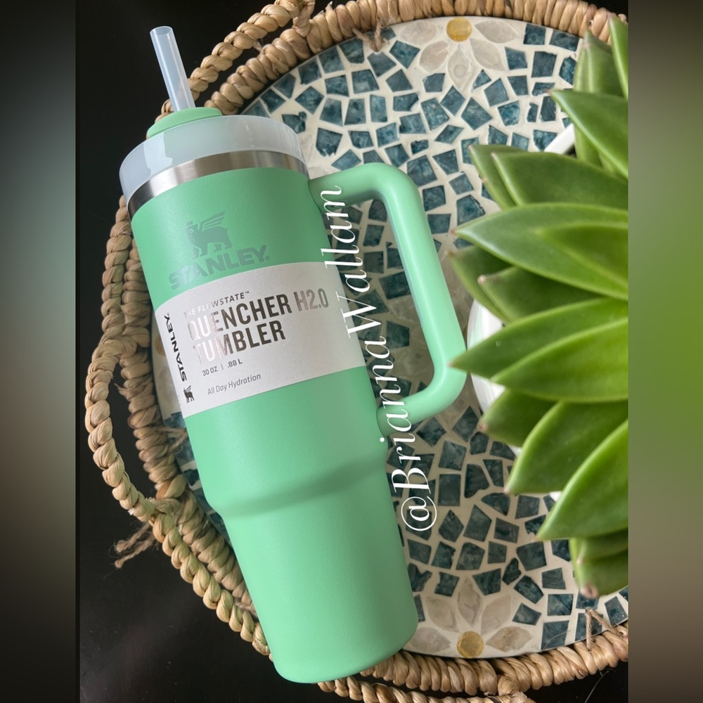 Stanley JADE 30 oz. Quencher H2.0 FlowState Tumbler